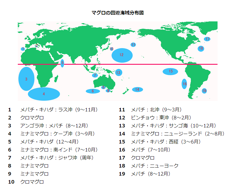 マグロの回遊